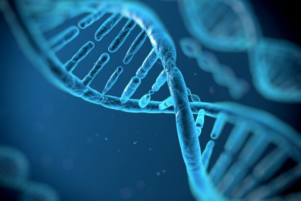 el ADN Moldea Nuestras Vidas